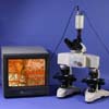 40x - 1000x MAGNIFICATION&nbsp;HIGH POWER COMPOUND&nbsp;FORENSIC COMPARISON MICROSCOPE&nbsp;USB + CCD VIDEO CAMERAS&nbsp;SHIPPING - CARRYING CASE